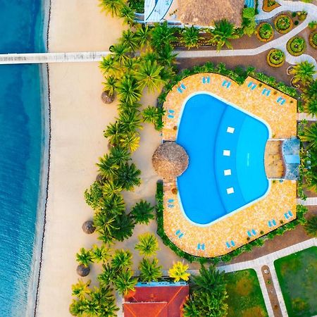 The Placencia Maya Beach ภายนอก รูปภาพ
