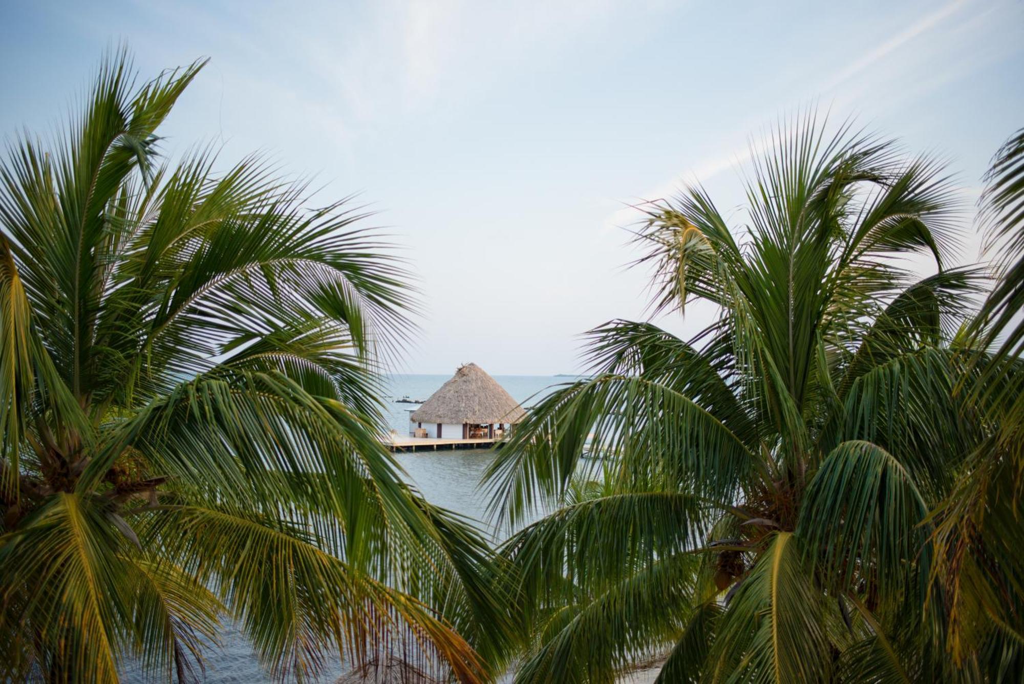 The Placencia Maya Beach ภายนอก รูปภาพ